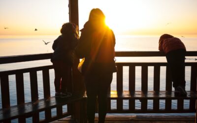 Cottage concerns? Now is the time to act
